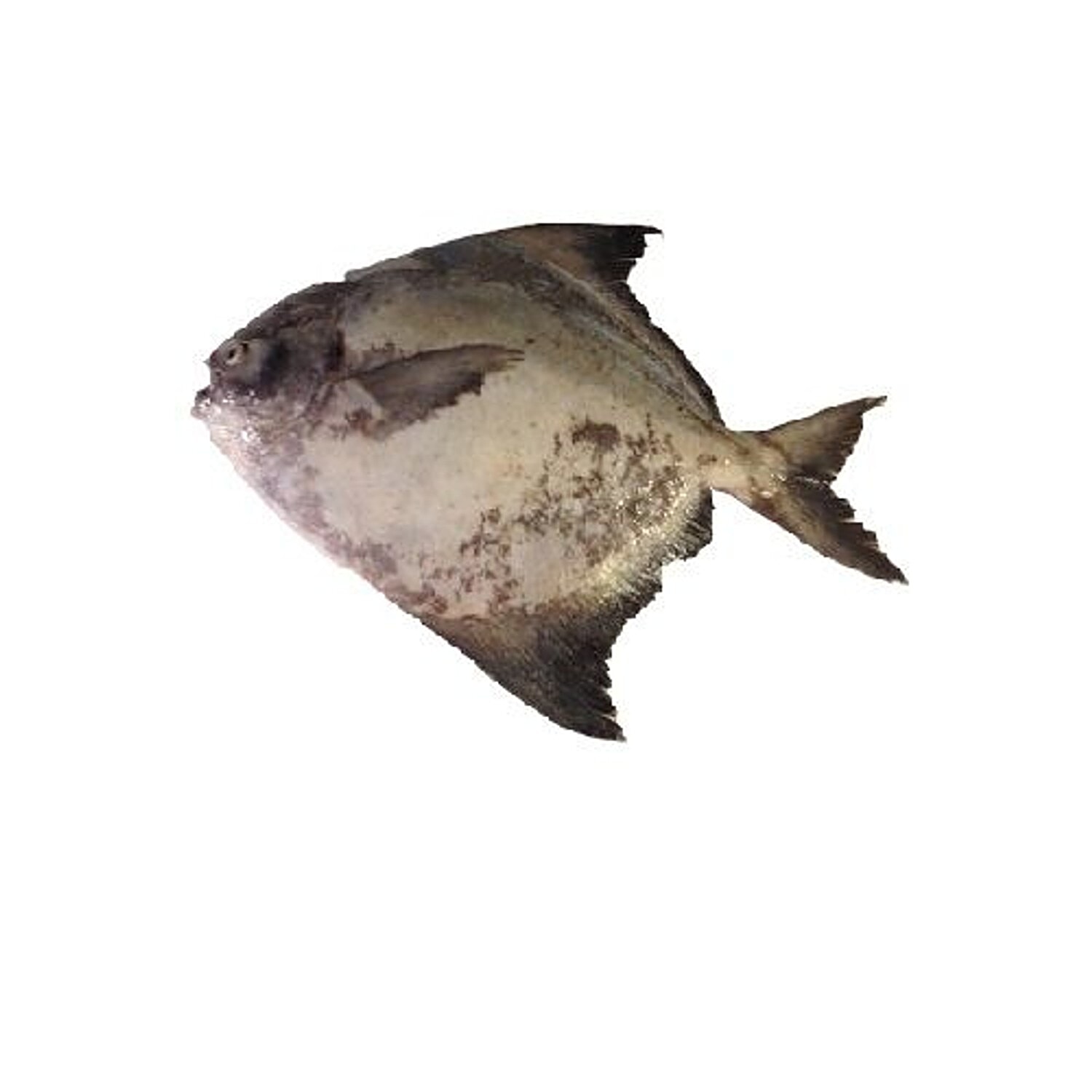 Item